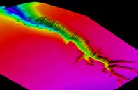 �������� ������ �������