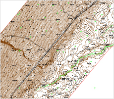 Topographic map (1: 2000)